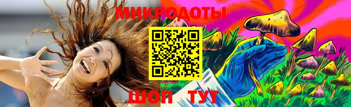 Галлюциногенные грибы мицелий Горячий Ключ